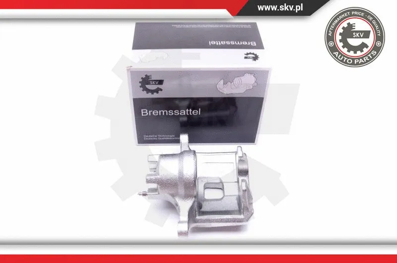 Brake Caliper (45SKV821)