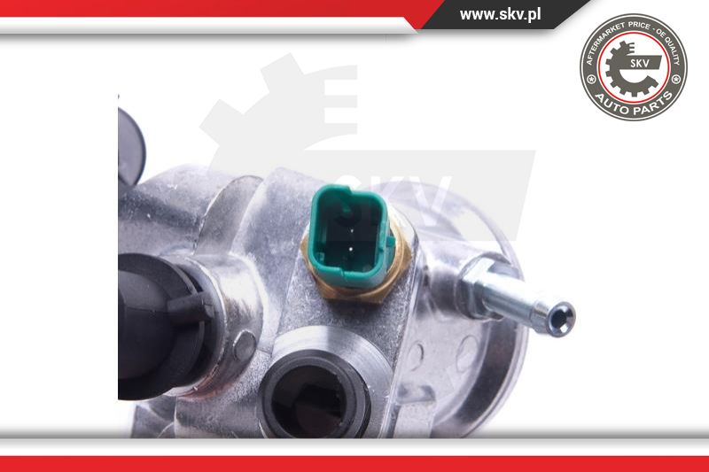 Thermostat, coolant