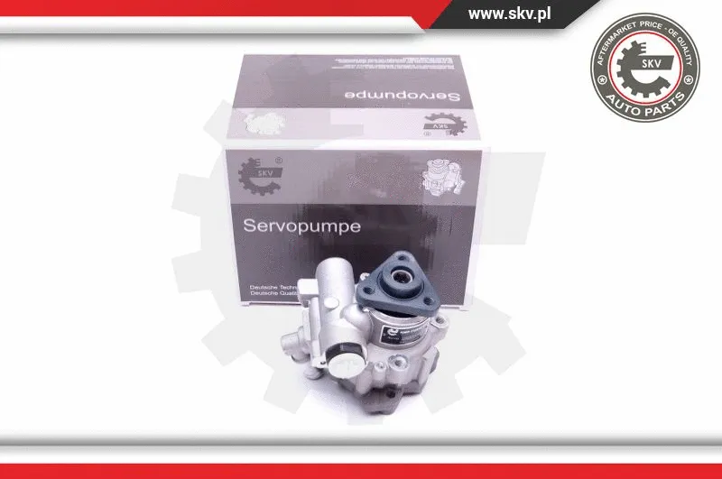 Hydraulic Pump, steering (10SKV248)