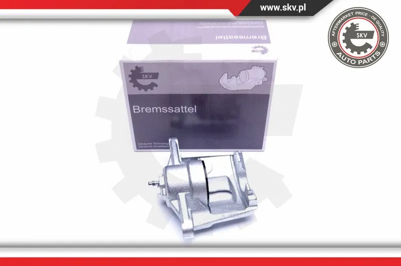 Brake Caliper (42SKV922)