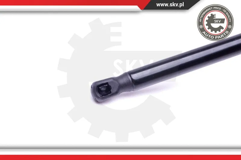 Gas Spring, boot/cargo area