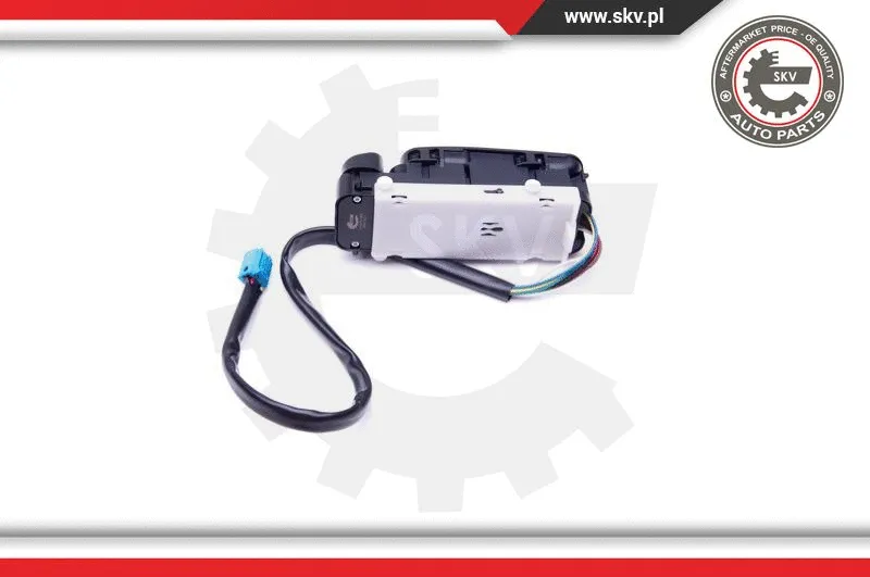 Switch, window regulator