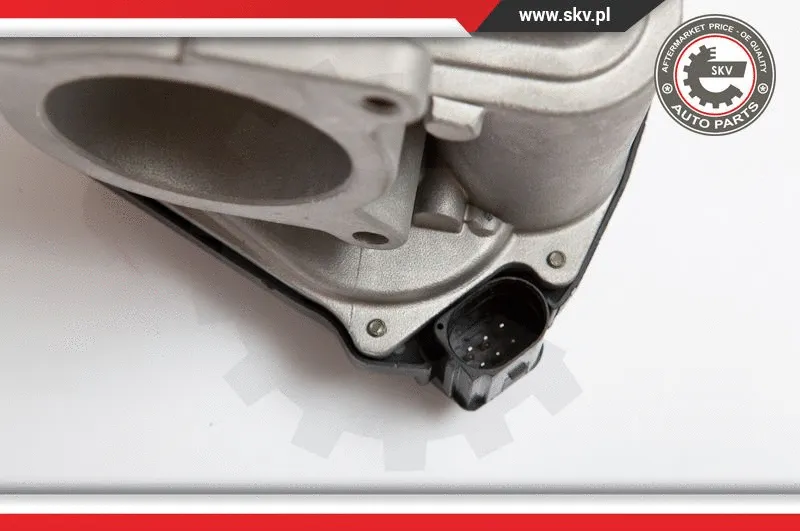 EGR Valve