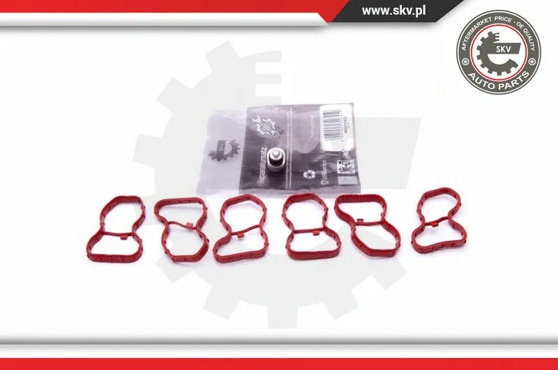 Repair Kit, intake manifold module (49SKV522)