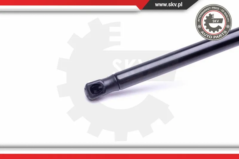 Gas Spring, boot/cargo area