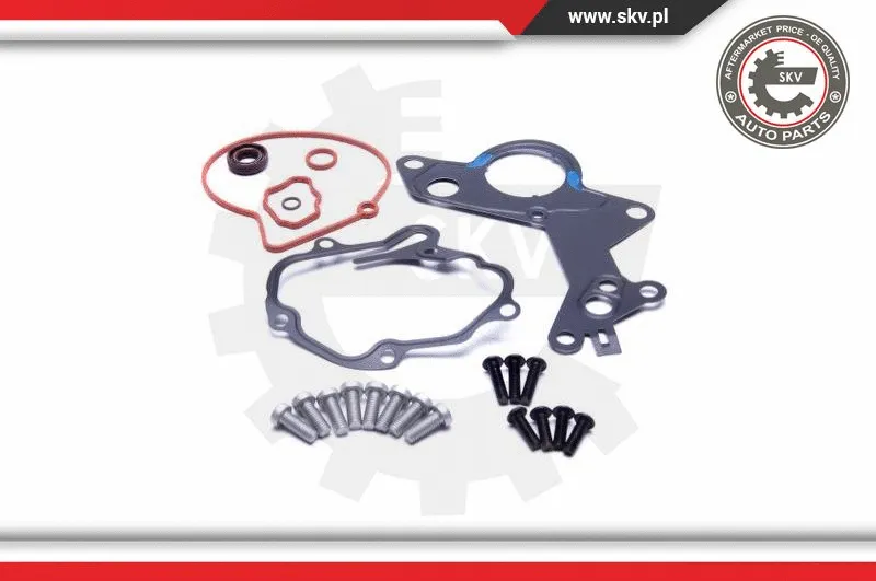 Repair Set, vacuum pump (braking system)
