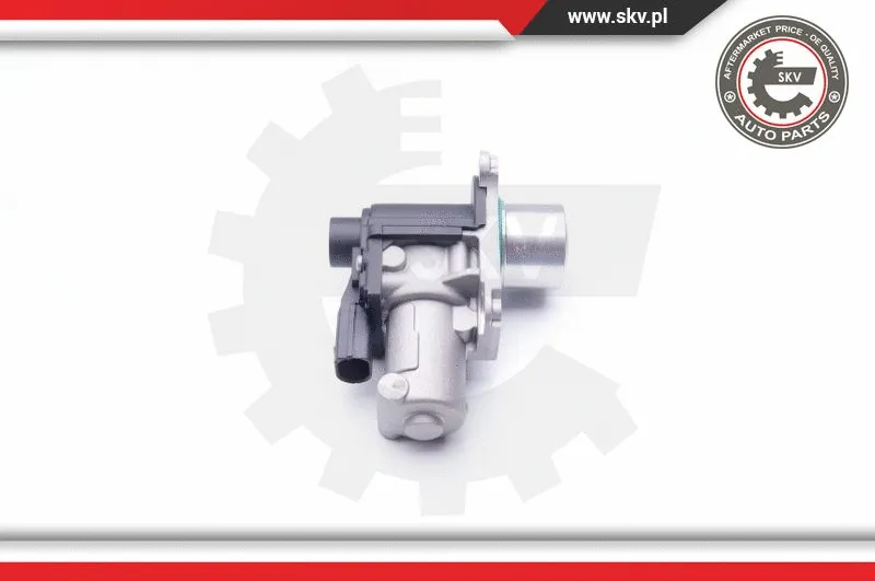 EGR Valve