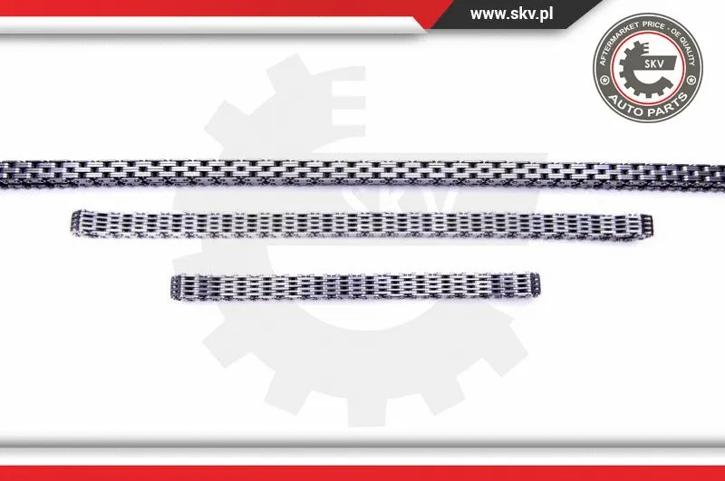 Timing Chain Kit