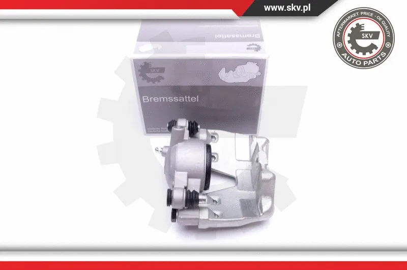 Brake Caliper (44SKV211)