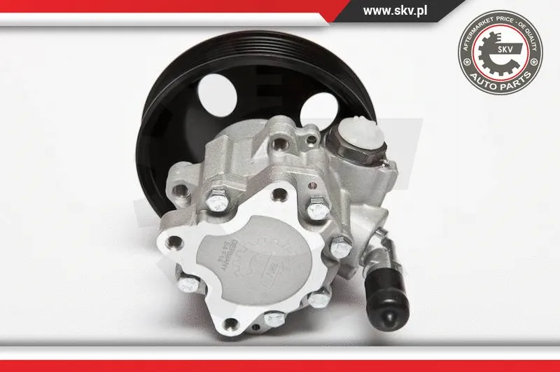 Hydraulic Pump, steering (10SKV063)