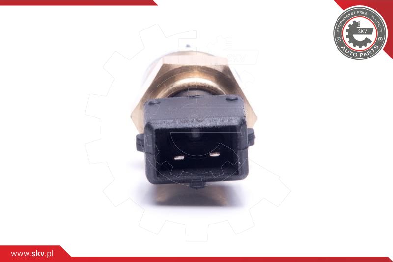 Sensor, intake air temperature