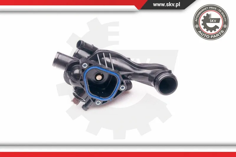 Thermostat, coolant