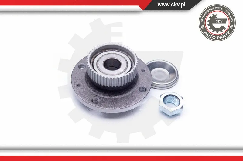 Wheel Bearing Kit
