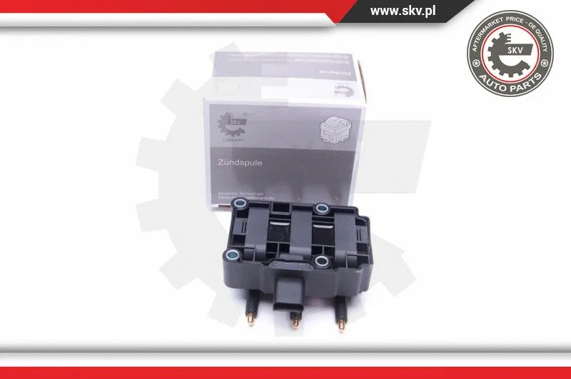 Ignition Coil (03SKV248)