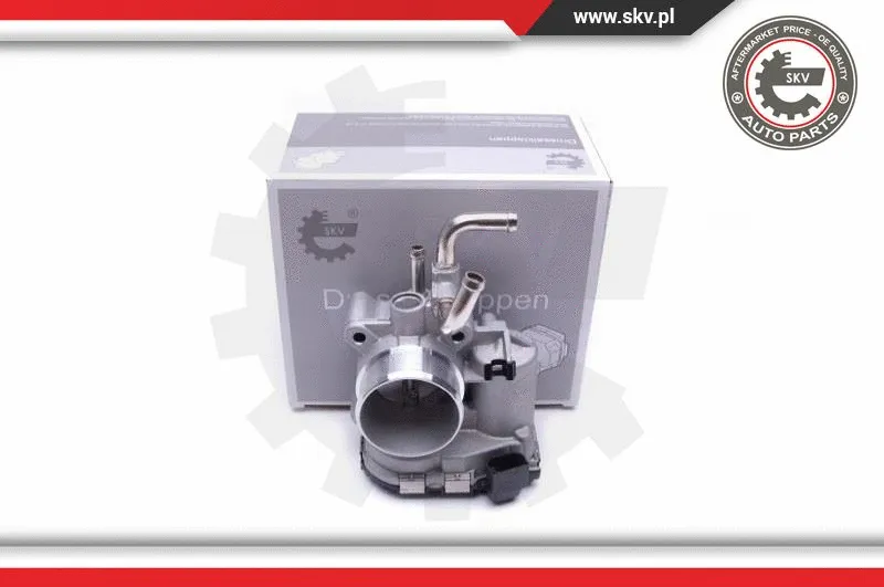 Throttle Body (12SKV093)
