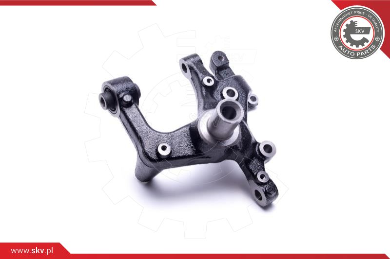 Steering Knuckle, wheel suspension