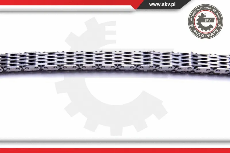 Timing Chain Kit