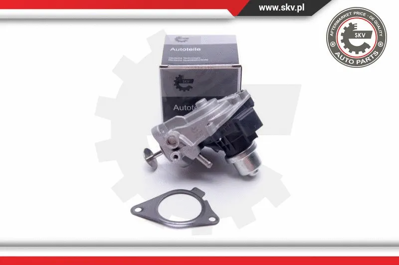 EGR Valve (14SKV233)
