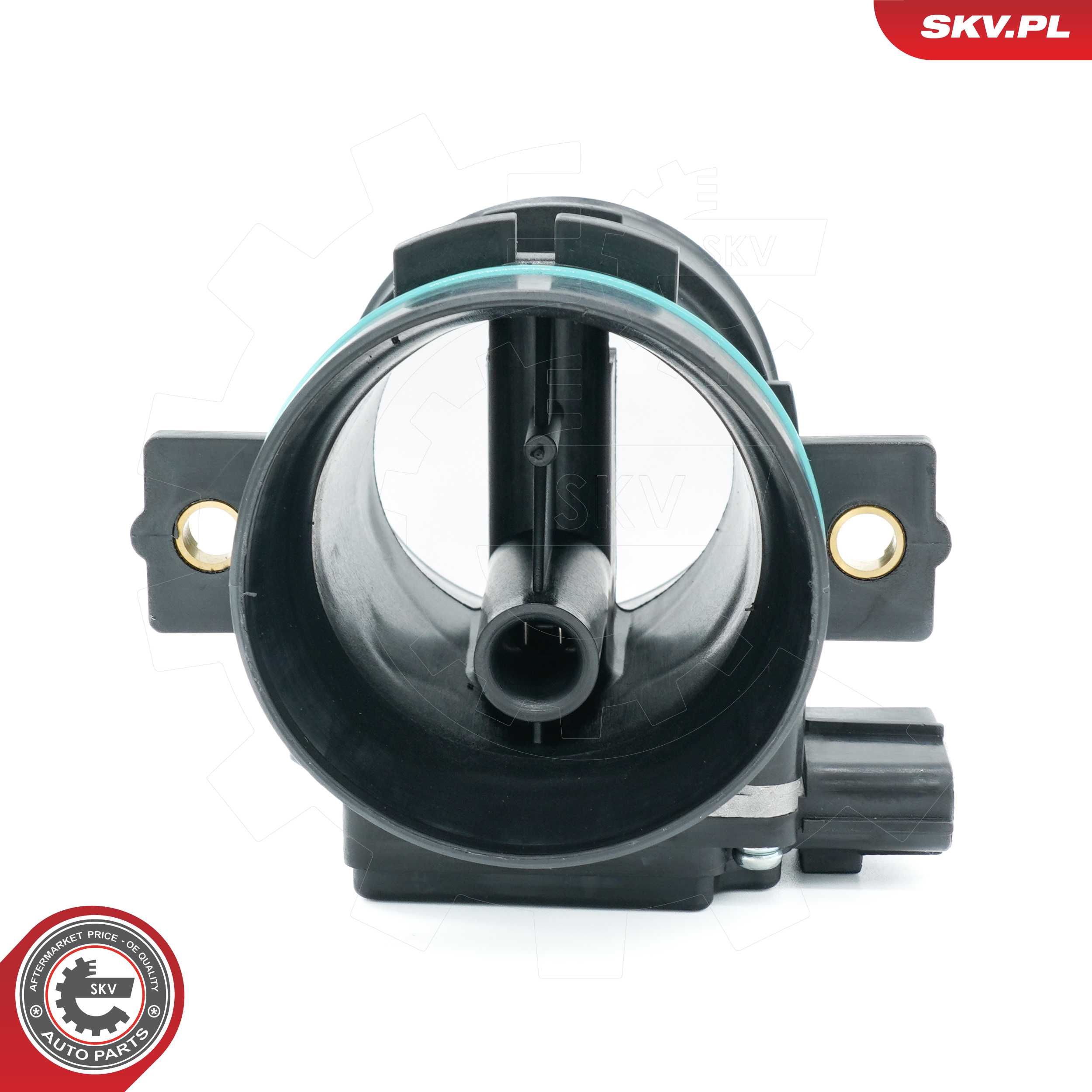 Mass Air Flow Sensor