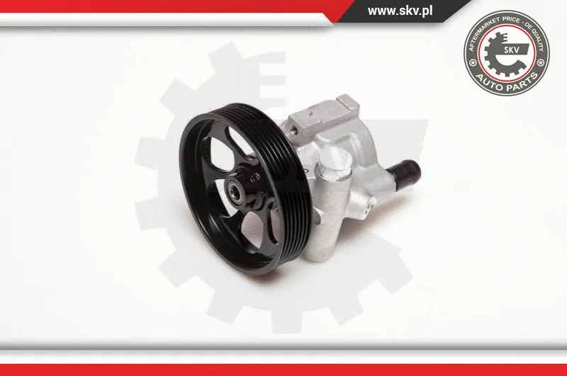 Hydraulic Pump, steering (10SKV115)