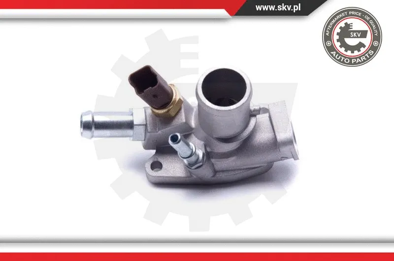 Thermostat, coolant