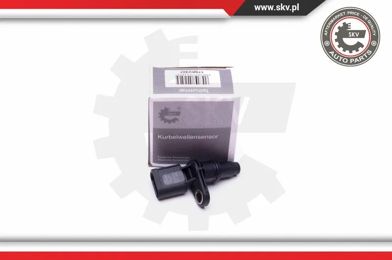 Sensor, camshaft position (17SKV487)