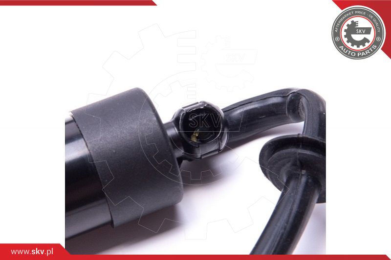 Electric Motor, tailgate