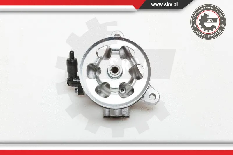 Hydraulic Pump, steering (10SKV076)