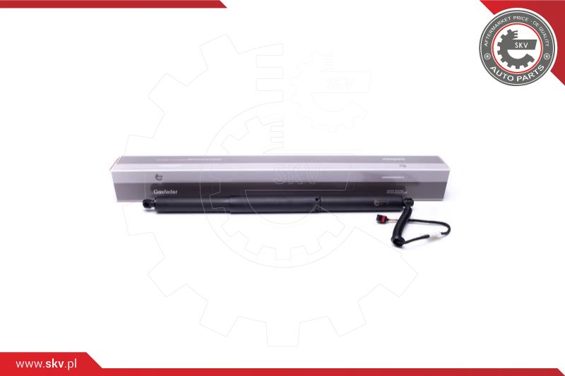 Electric Motor, tailgate (52SKV903)