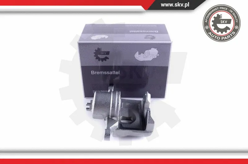Brake Caliper (55SKV272)