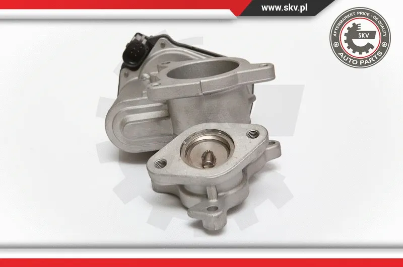 EGR Valve