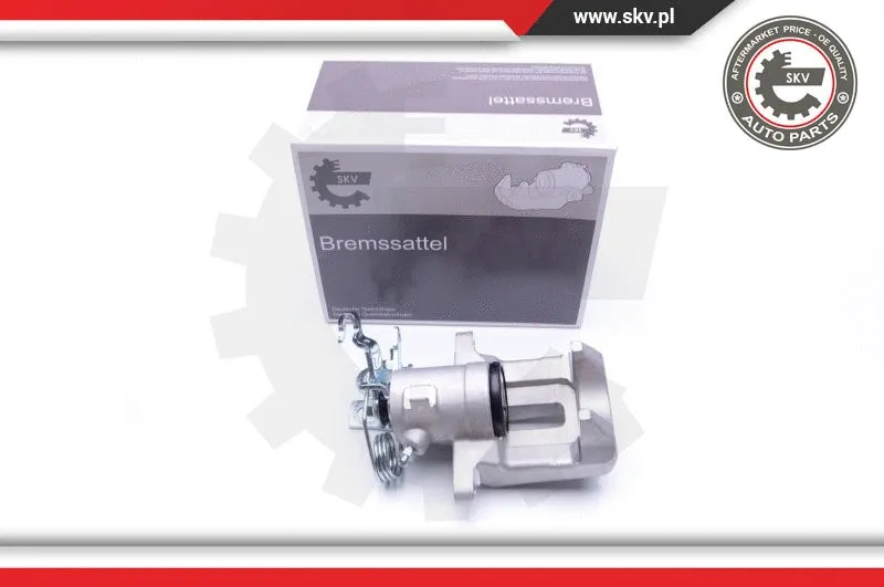 Brake Caliper (42SKV043)