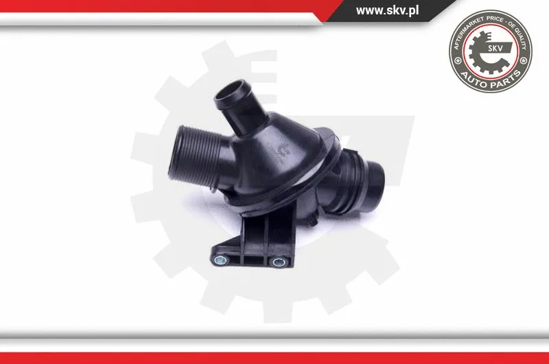 Thermostat, coolant