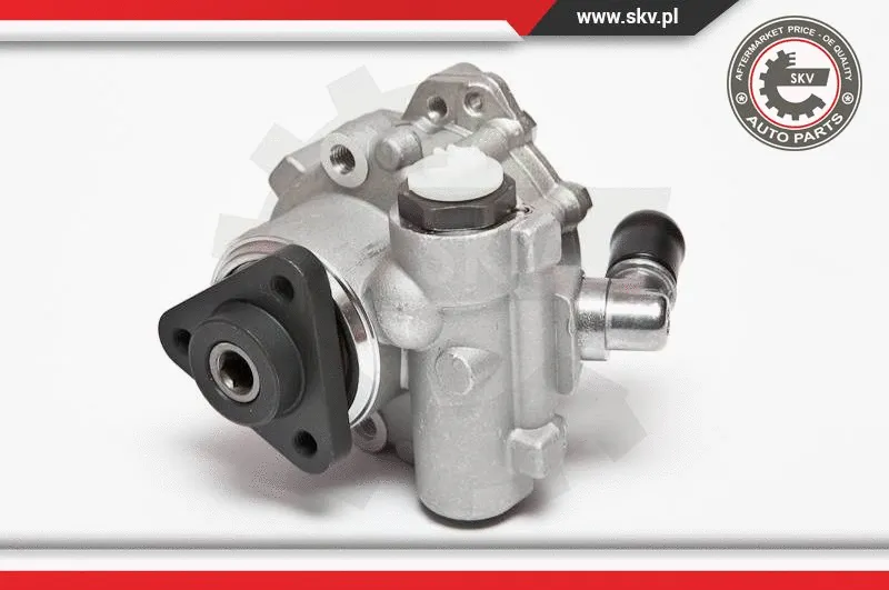 Hydraulic Pump, steering (10SKV072)