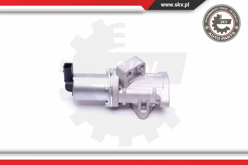 EGR Valve