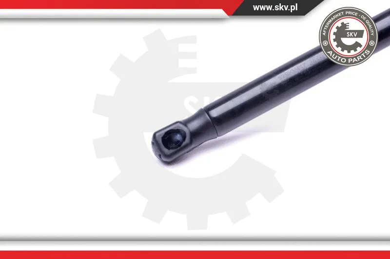 Gas Spring, boot/cargo area