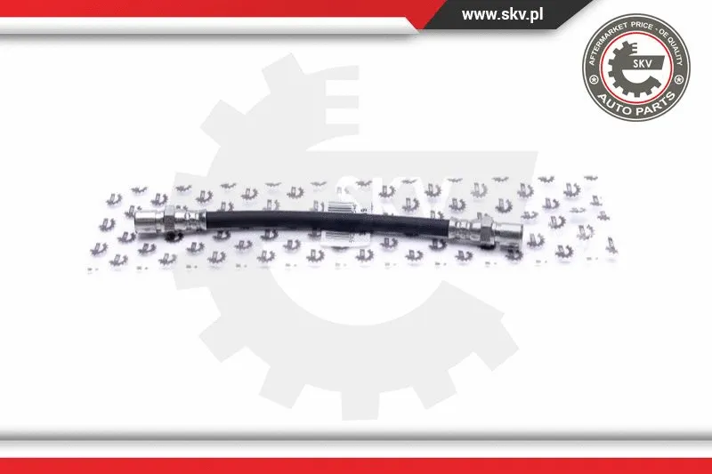 Brake Hose (35SKV119)