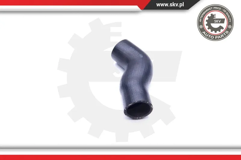 Charge Air Hose (24SKV819)