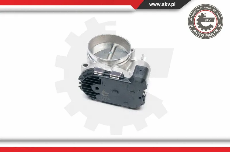 Throttle Body (12SKV052)