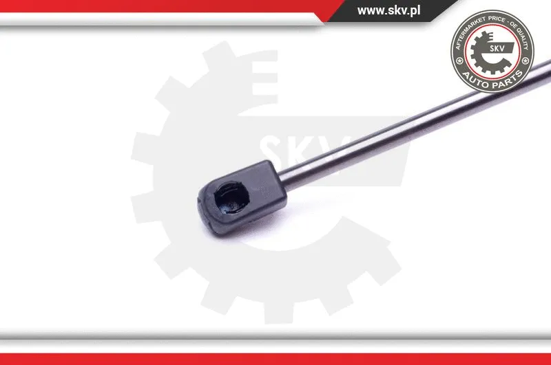 Gas Spring, boot/cargo area