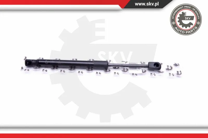 Gas Spring, boot/cargo area