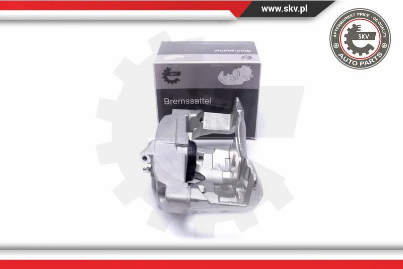 Brake Caliper (55SKV781)