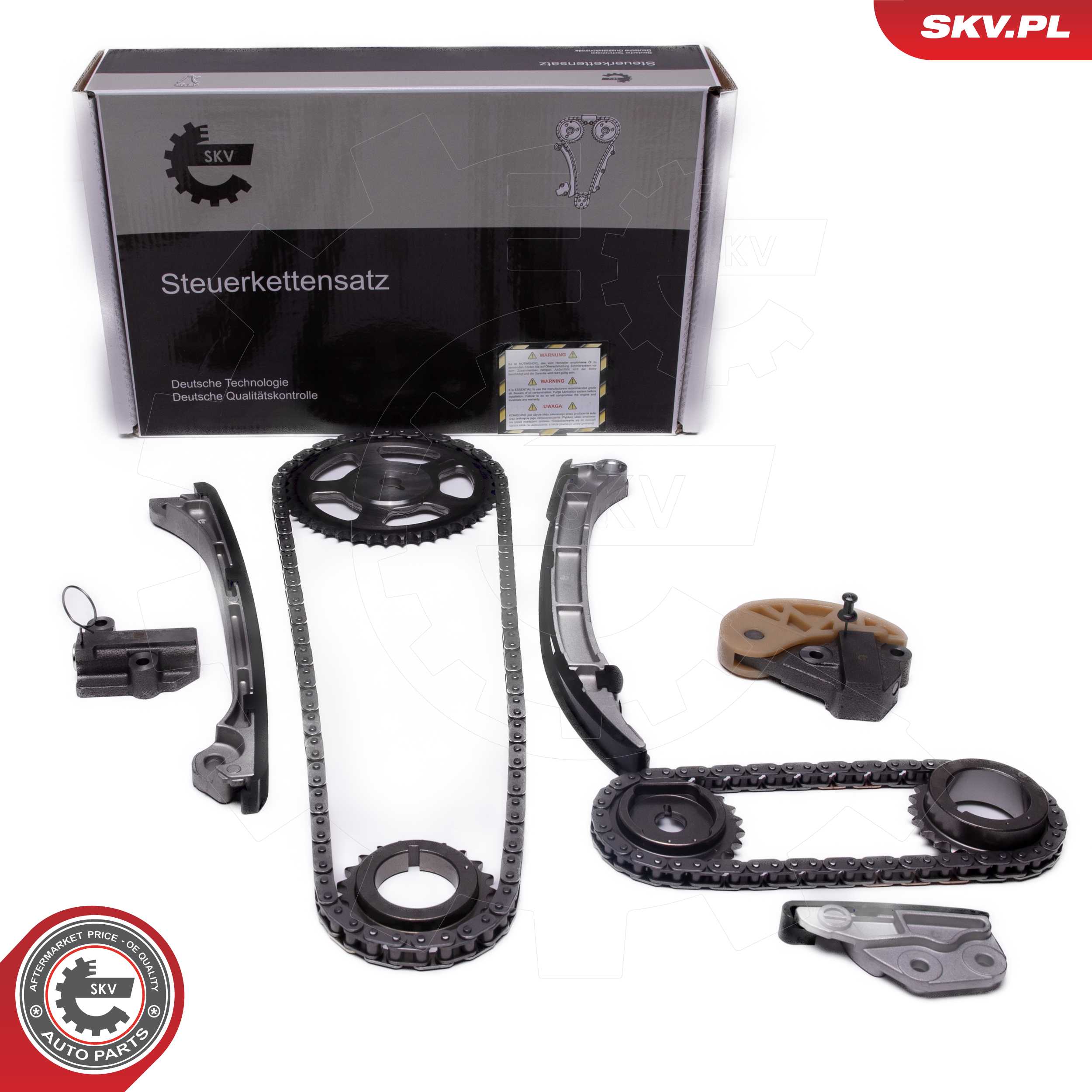 Timing Chain Kit (21SKV250)