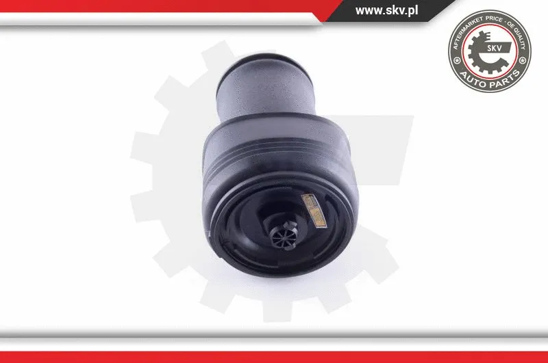 Air Spring, suspension