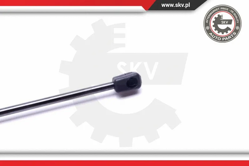 Gas Spring, boot/cargo area