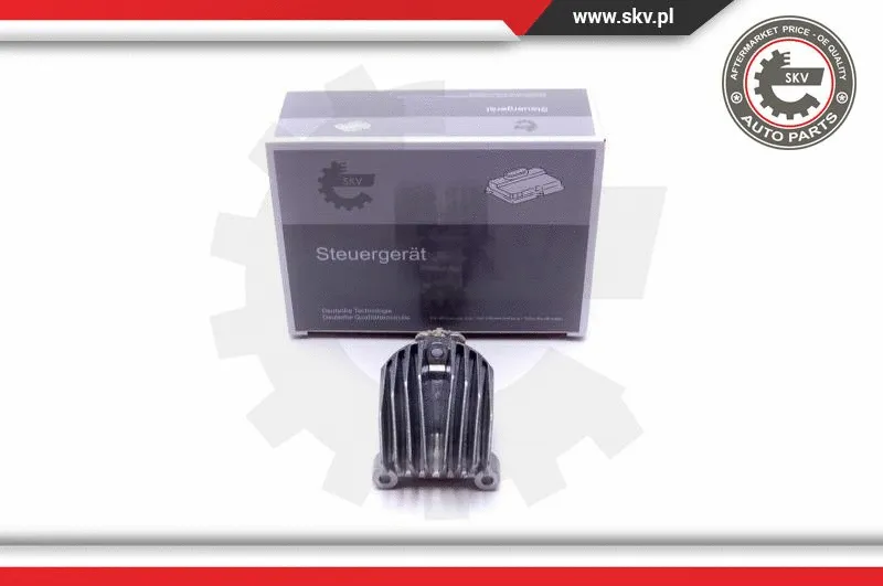 Control Unit, lights (59SKV073)