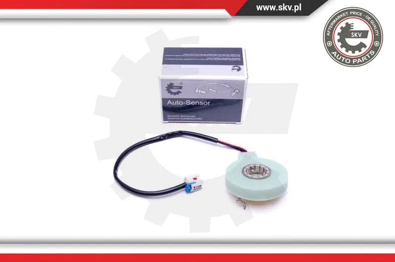 Steering Angle Sensor (17SKV473)
