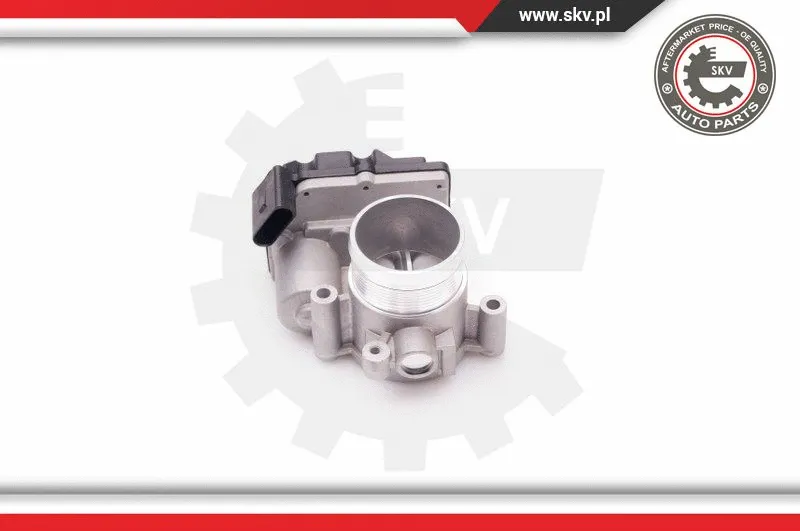 Throttle Body