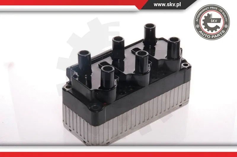 Ignition Coil (03SKV049)