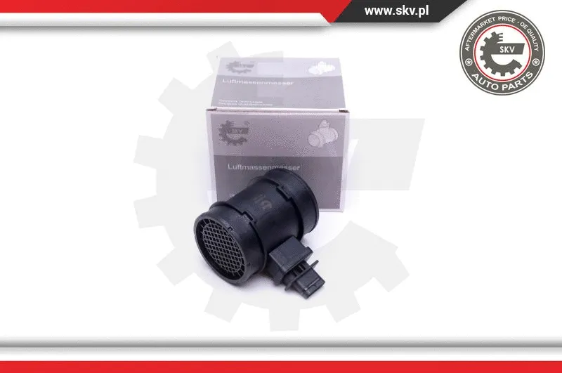 Mass Air Flow Sensor (07SKV168)